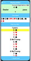 Play Bid Euchre Plakat