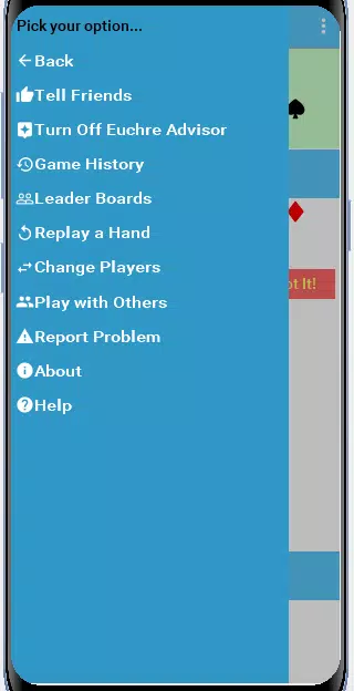 Play Bid Euchre