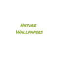 nature wallpapers