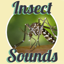 Insect Sounds APK