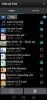 Hide All Files постер