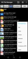 SD File Manager Affiche