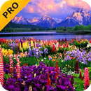 Valley of Flowers PRO APK