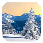 Winter Live Wallpaper icon