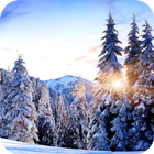 Winter Paradise Live Wallpaper icon