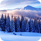 آیکون‌ Winter Paradise PRO