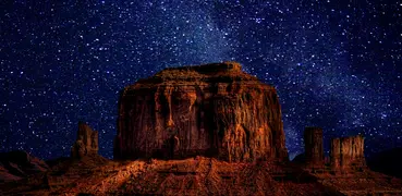 Beautiful Desert Night