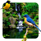 3D parallax d'oiseaux PRO icône