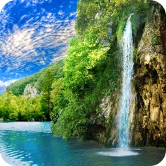 download Forest Waterfall Wallpaper APK