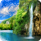 Forest Waterfall Wallpaper أيقونة