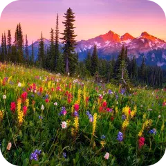 Mountain Flowers XAPK download