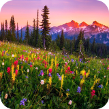 Mountain Flowers-icoon