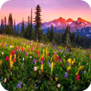 Mountain Flowers APK