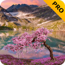 Mountain Landscape Pro APK