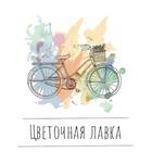 Цветочная лавка НК biểu tượng