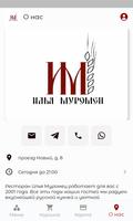 Илья Муромец ảnh chụp màn hình 2