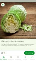 ПОЛЕ-САД / доставка продуктов ảnh chụp màn hình 3