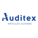 APK Auditex