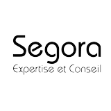 SEGORA Expertise et Conseil-APK