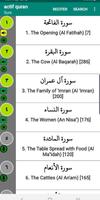 actif quran โปสเตอร์