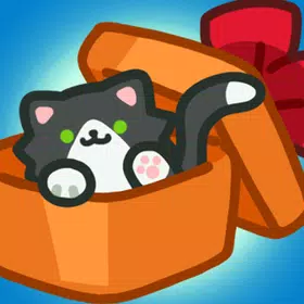 Cat’s Delivery Service