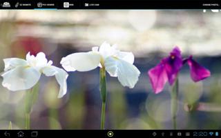 EZ Display screenshot 2