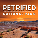 Petrified Forest National Park APK