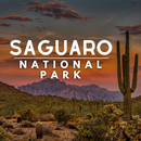 Saguaro National Park Guide APK
