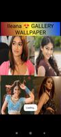 Ileana Gallery 海报