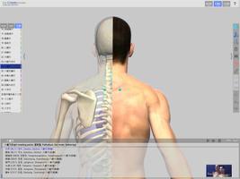 The Combinations For Acupoint تصوير الشاشة 3