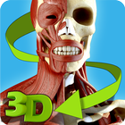 Easy Anatomy 3D(learn anatomy) Zeichen