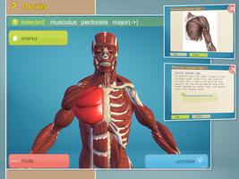 Easy Anatomy 3D - learn anatom تصوير الشاشة 1