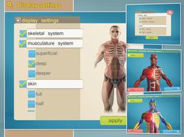 Easy Anatomy 3D - learn anatom تصوير الشاشة 2