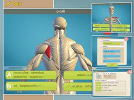 Easy Anatomy 3D - learn anatom تصوير الشاشة 3