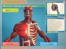 Easy Anatomy 3D(learn anatomy) Screenshot 1