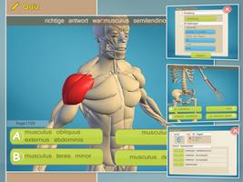 Easy Anatomy 3D(learn anatomy) Screenshot 3