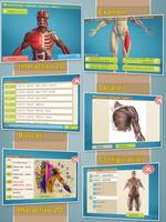 Easy Anatomy 3D(learn anatomy) Poster