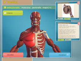 Easy Anatomy 3D(learn anatomy) captura de pantalla 1
