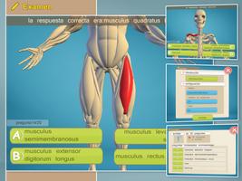 Easy Anatomy 3D(learn anatomy) captura de pantalla 3