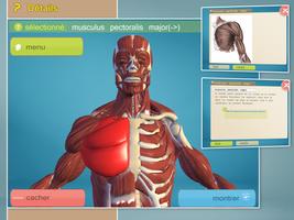 Easy Anatomy 3D(learn anatomy) capture d'écran 1