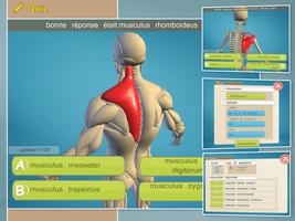Easy Anatomy 3D(learn anatomy) capture d'écran 3