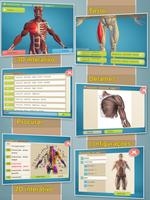 Easy Anatomy 3D(learn anatomy) Cartaz