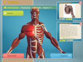 Easy Anatomy 3D(learn anatomy) imagem de tela 1