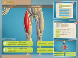 Easy Anatomy 3D(learn anatomy) imagem de tela 3