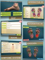 Total Reflexology 3D Plakat