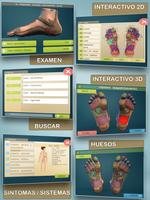 Total Reflexology 3D Poster