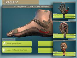 Total Reflexology 3D captura de pantalla 1