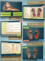 Total Reflexology 3D Cartaz