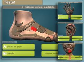 Total Reflexology 3D imagem de tela 1