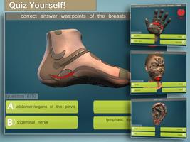 Total Reflexology 3D screenshot 1